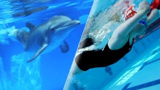 Athlete’s Paralympic Journey Inspired by Prosthetic Tail Dolphin | Our Blue Planet | Earth Unplugged