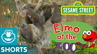 Sesame Street: Watch These Baby Animals Move! (Elmo At The Zoo #7)