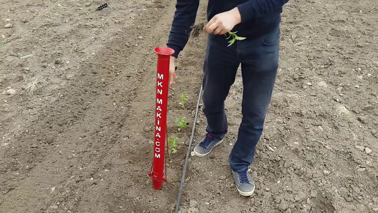 Seedling Planting Tool Fide Dikme Makinesi Plantador Youtube | My XXX ...