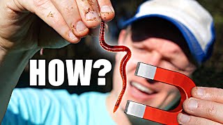 The MAGNETIC WORM MYSTERY - Smarter Every Day 253