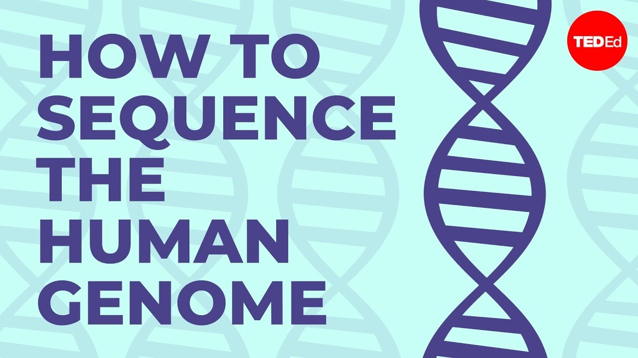 How to sequence the human genome - Mark J. Kiel - YouTube