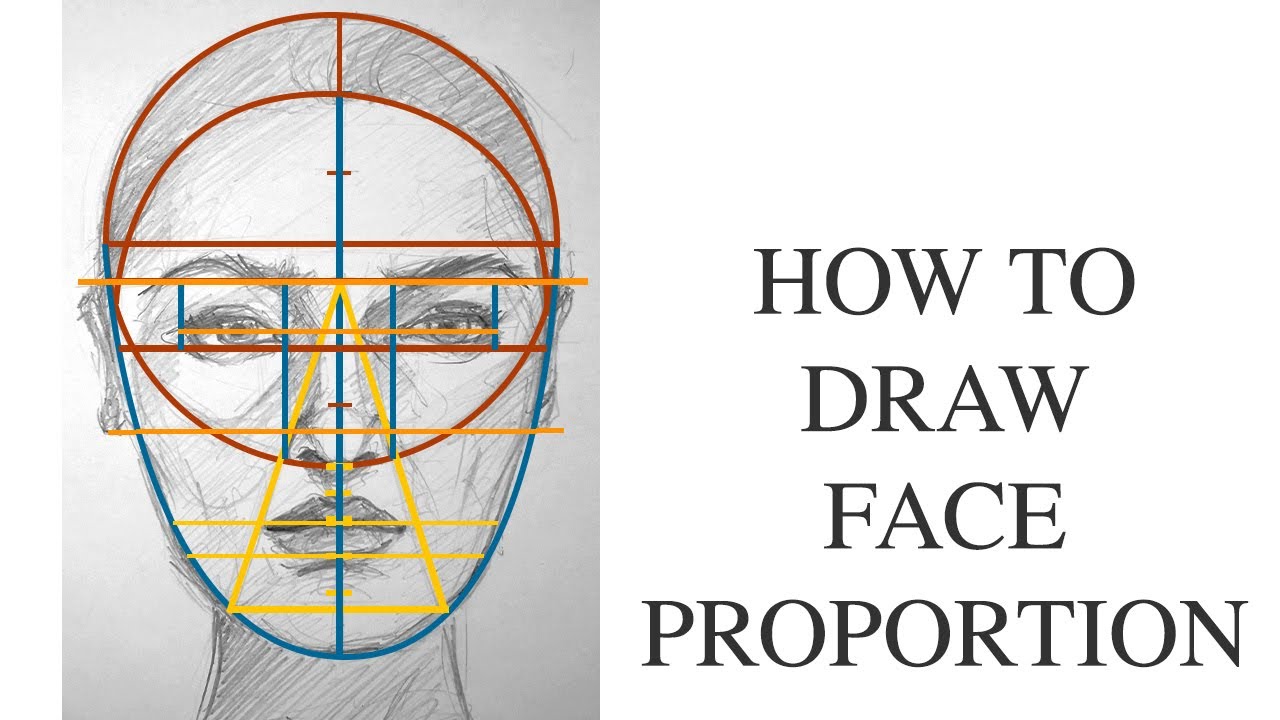 Drawing Girl’s Face step by step guide to Head Proportion for beginners ...