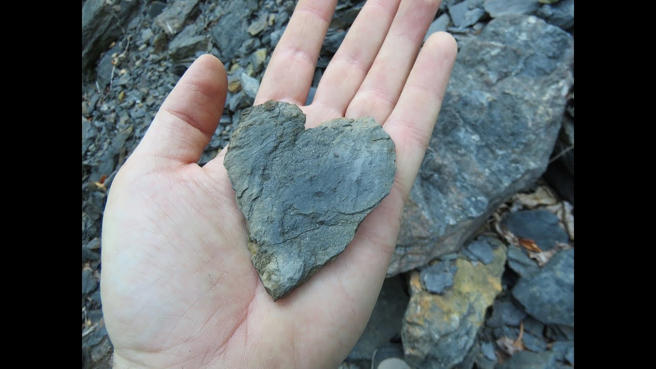 Fossil Hunting in Nesquehoning PA - YouTube