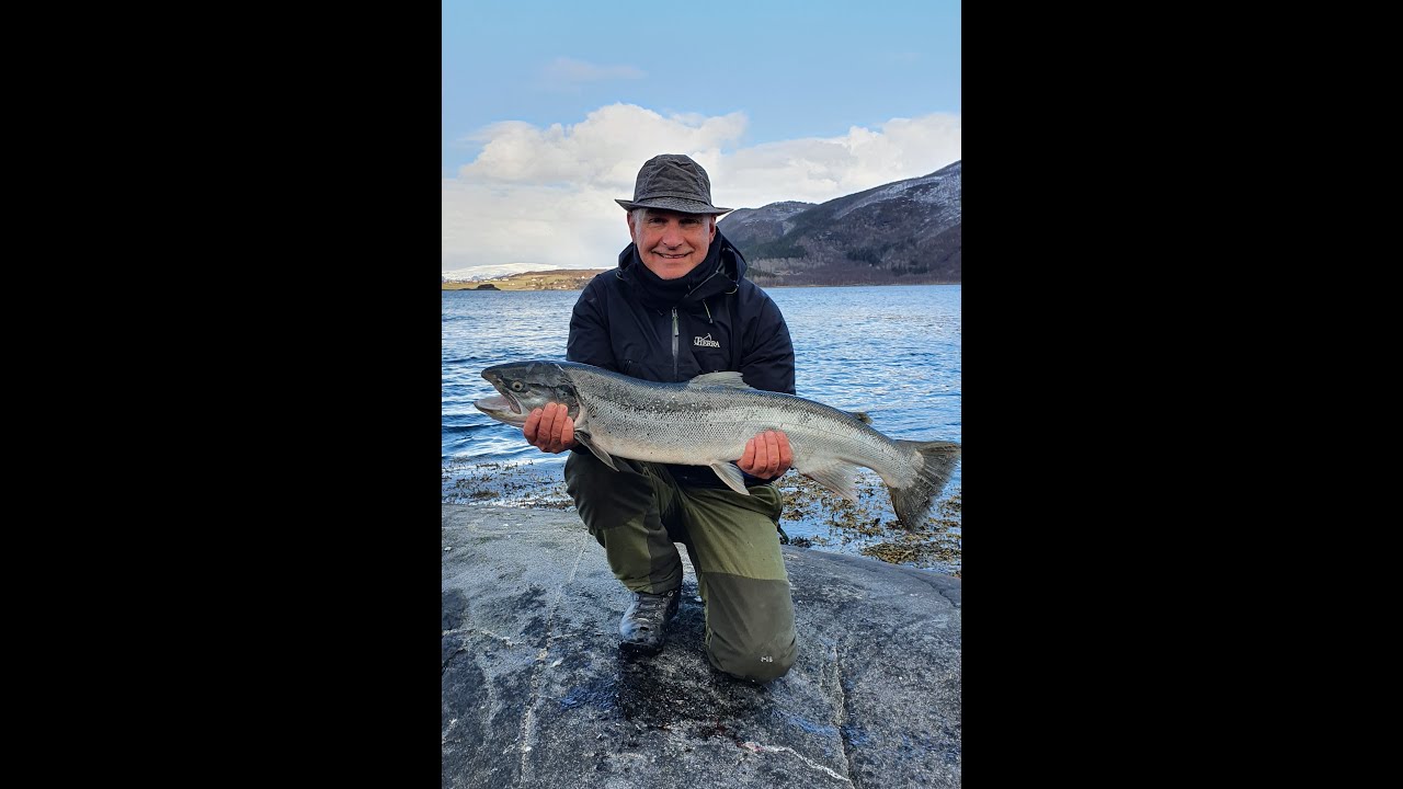 Stor sjøørret 5,8kg - YouTube