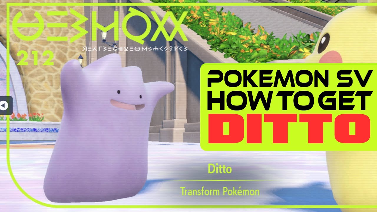 Ditto Pokemon Evolution Chart