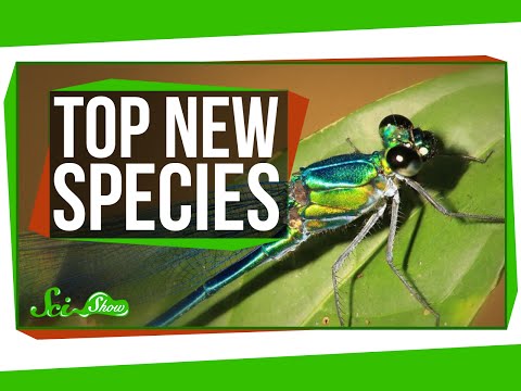 Top New Species For 2016, And A Perching Robot!