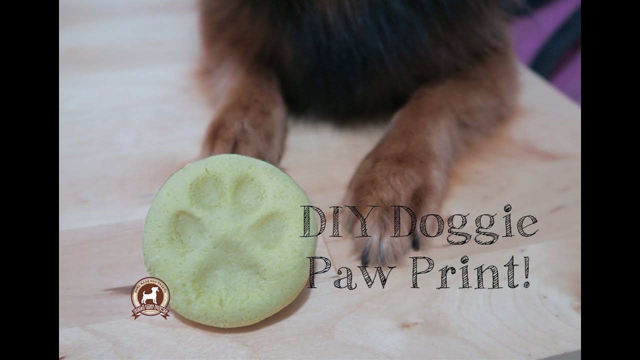 Diy Paw Print (Salt Dough Recipe) - Youtube