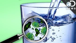 How Much Bacteria Is In Your Drinking Water?