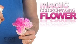 Magic Color Changing Flower - Sick Science! #177