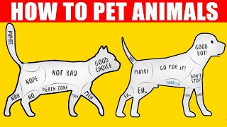 How to Pet Dogs, Cats and Animals