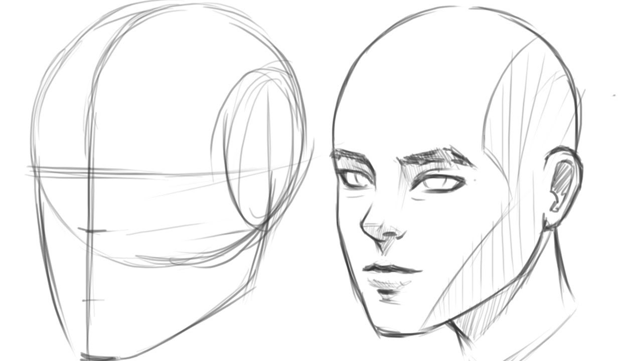 Matchless Info About How To Draw A Human Head - Pricelunch34