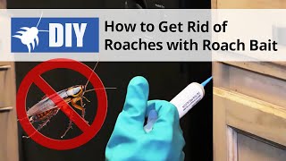 How to Get Rid of Roaches with a Roach Bait Treatment