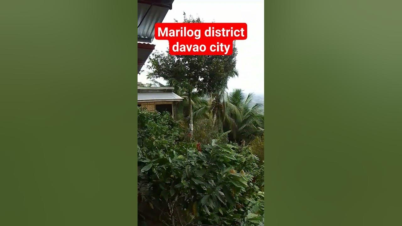 marilog district davao city. #niceview - YouTube