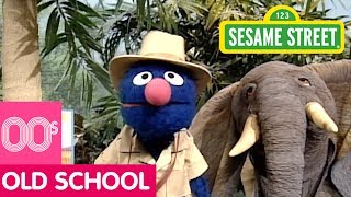 Sesame Street: Grover and the Elephant