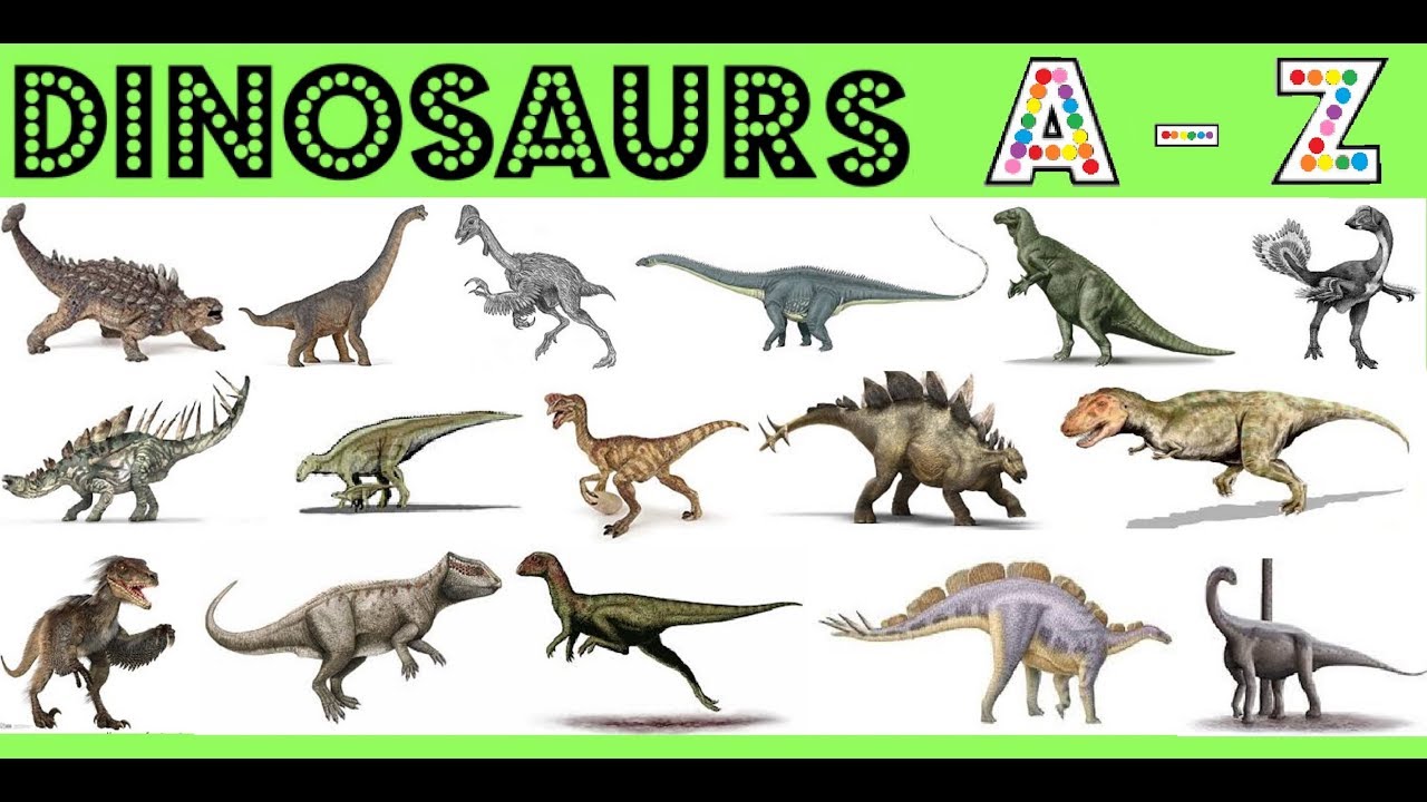 all dinosaurs in alphabetical order for Sale OFF54%