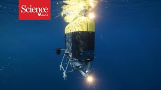 Underwater robot may unearth climate mysteries