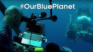 Discovering underwater lake ecosystems for Blue Planet II #OurBluePlanet - BBC Earth