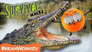 How to Survive an ALLIGATOR Attack | SURVIVAL HACKS