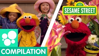 Sesame Street: Spring Songs Compilation | Elmo's Butterfly Friend and more!