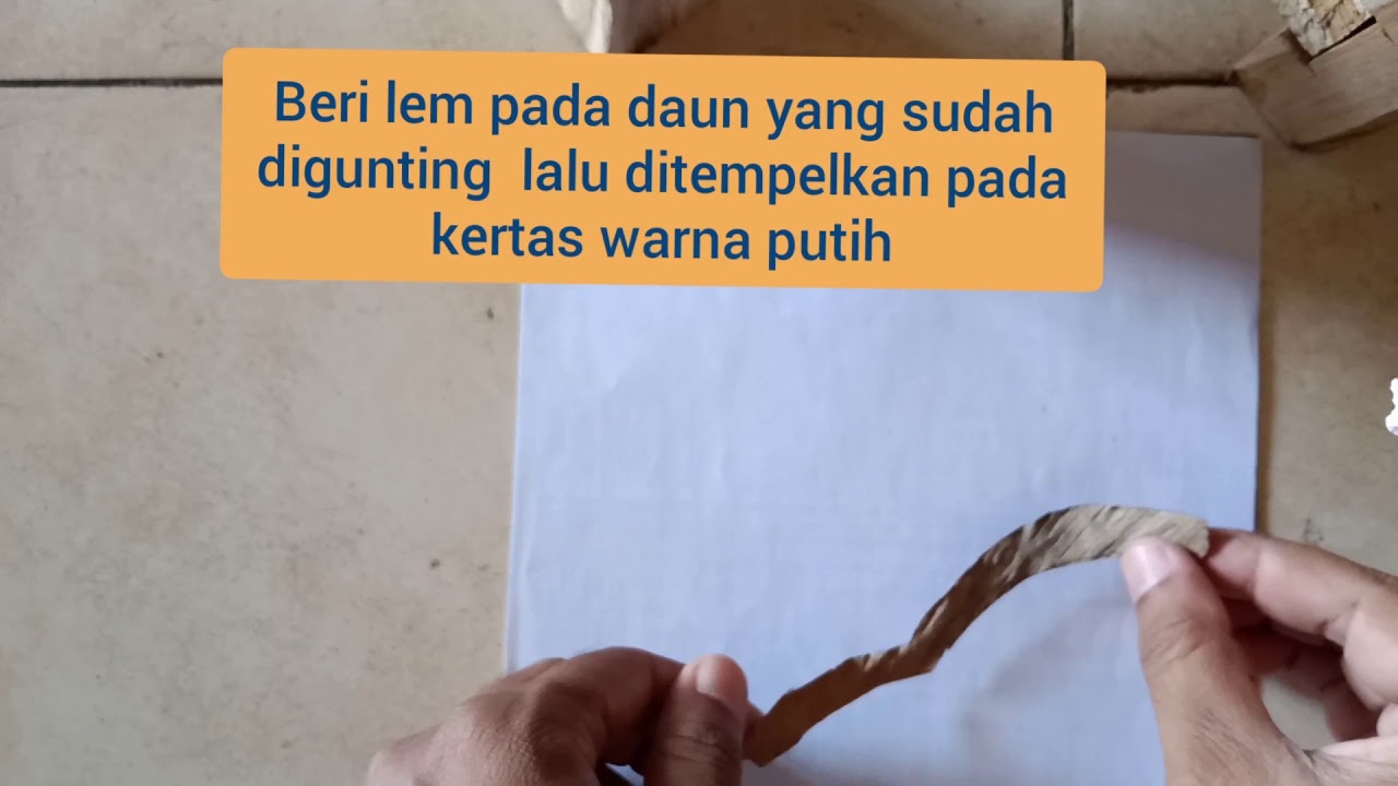  Kolase  gambar  burung dari  daun  kering  hd full YouTube