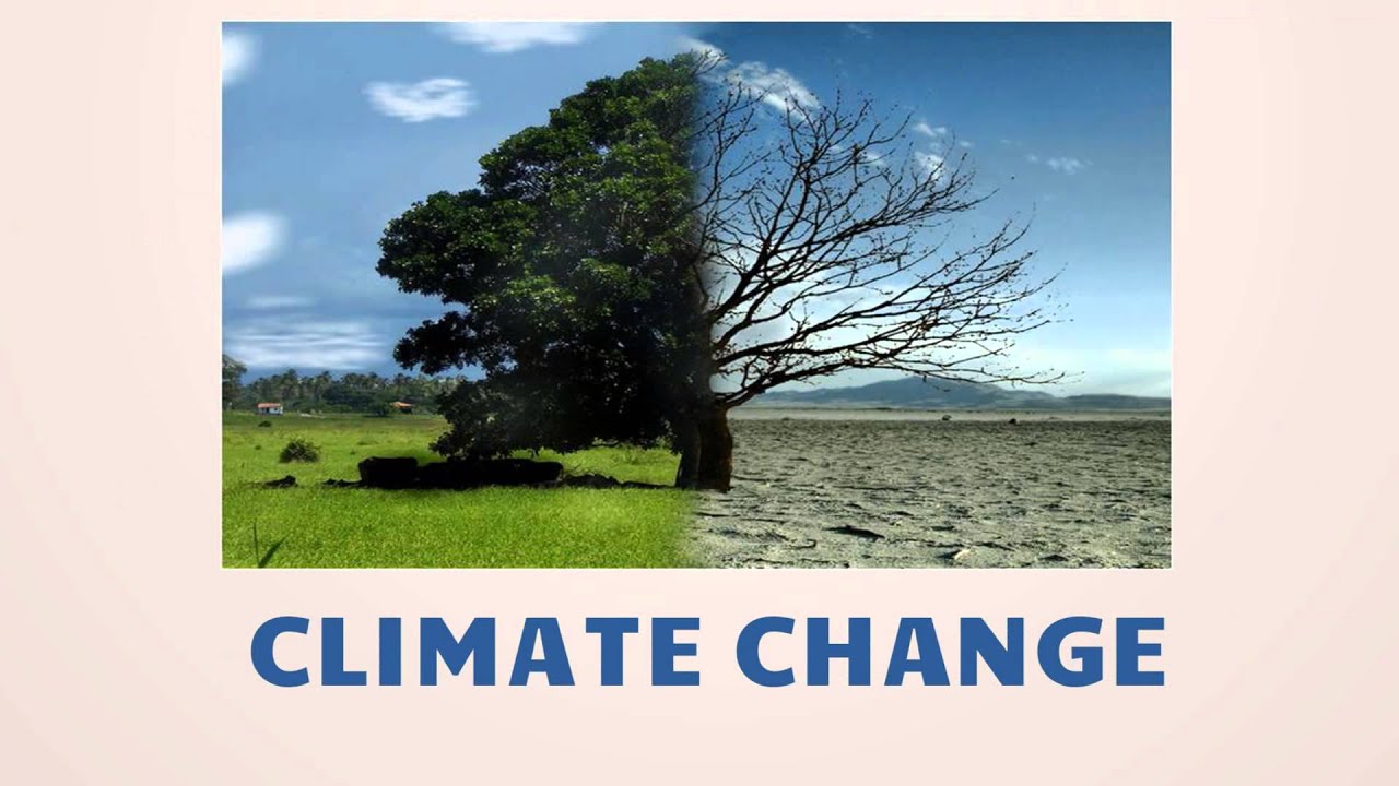 5 Facts About Climate Change in the Caribbean (Bz Empasis) - YouTube