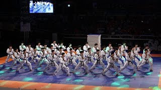 2018 Kukkiwon Taekwondo Team Displays Amazing Karate Skills