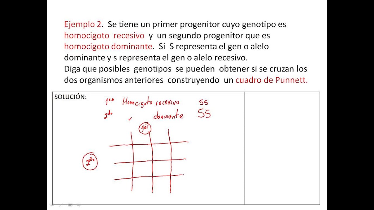 Exercícios Quadro De Punnett - MODISEDU