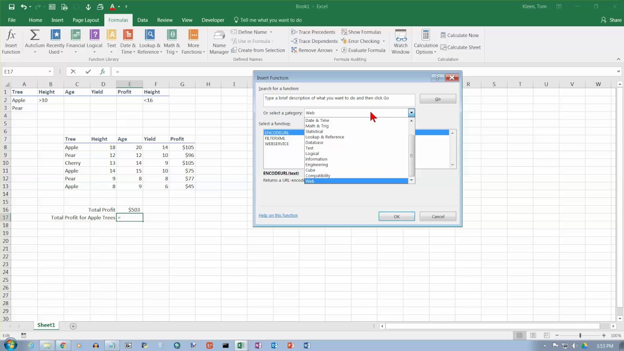 Excel 2016: The DSUM Function - YouTube