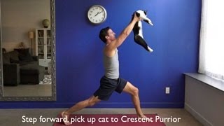 Yoga with Cats