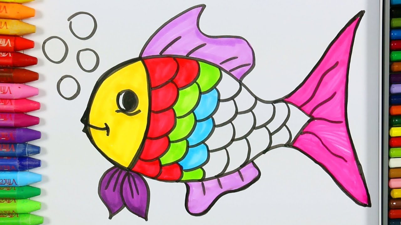 Pagina Para Colorear Peces Como Dibujar Y Colorear Peces Pintura De Pescado Aprender Colorear Youtube Fish Drawings Fish Coloring Page Drawn Fish