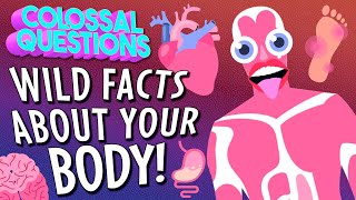 GROSS Things That Can Happen to Your Body! (If You Don't Take Care of it) | COLOSSAL QUESTIONS