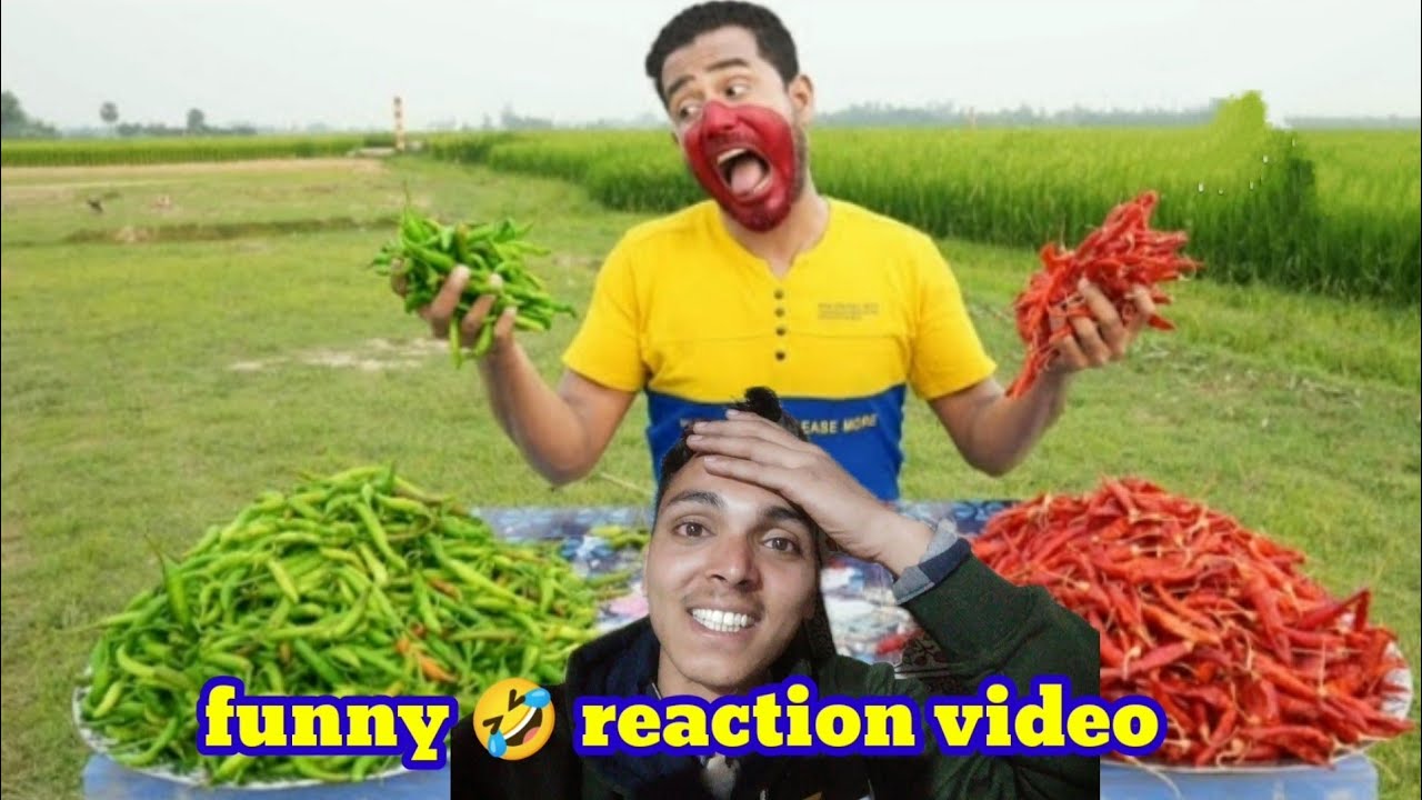 try not laugh 🤣।। funny reaction video ।। viral funny 📸 video ...