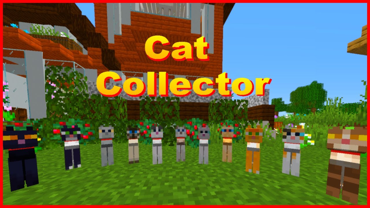 Breeding Cats In Minecraft