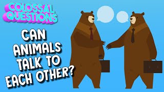 Do Animals Talk To Each Other? | Spirit Riding Free presents COLOSSAL QUESTIONS