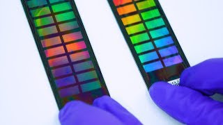 DNA Testing and Privacy (Behind the scenes at the 23andMe Lab) - Smarter Every Day 176