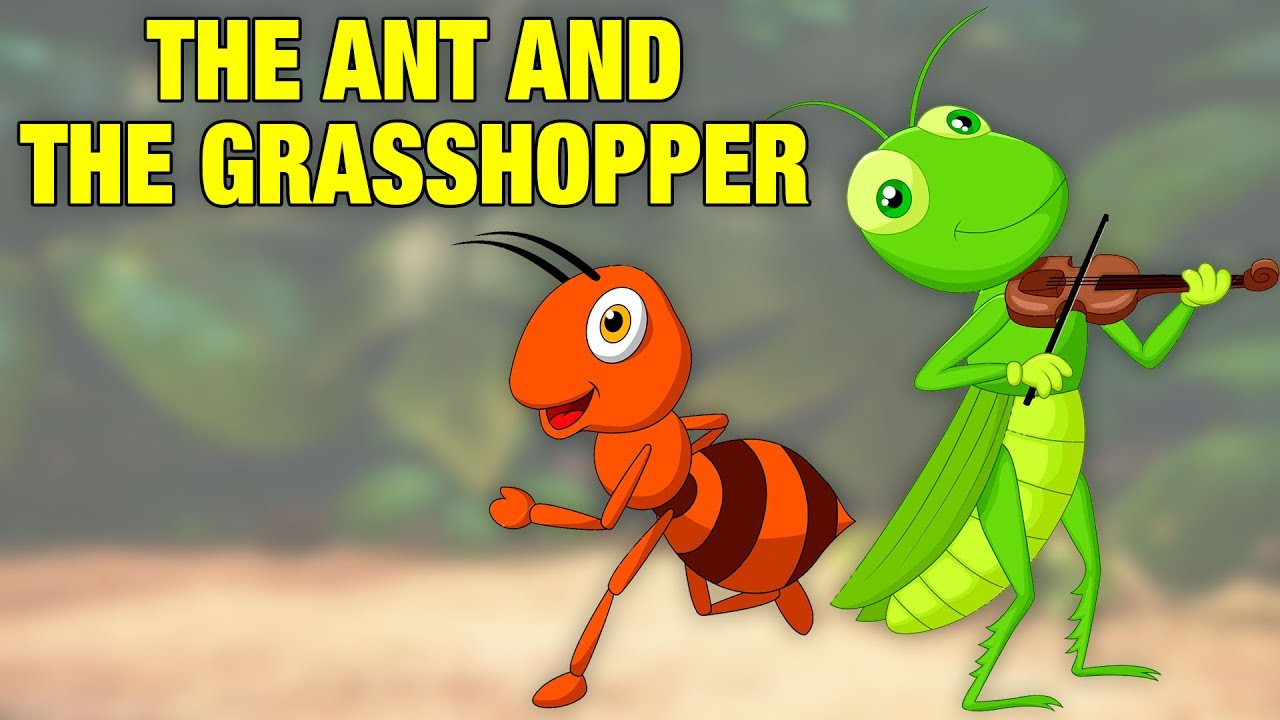 The Ant And The Grasshopper Storyboard