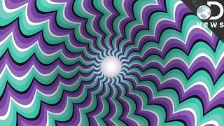 How Optical Illusions Trick Your Brain