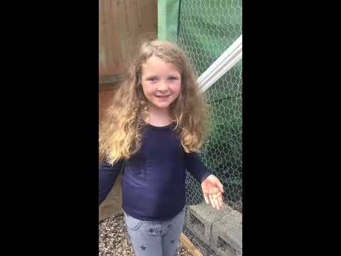 Zoe's summer garden! - YouTube