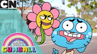 The Amazing World of Gumball | Gumball Gets Woke | Cartoon Network