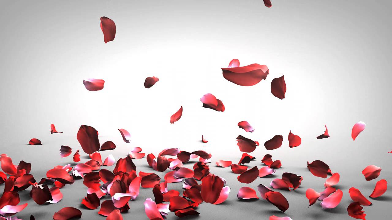 Falling Rose Petals Youtube