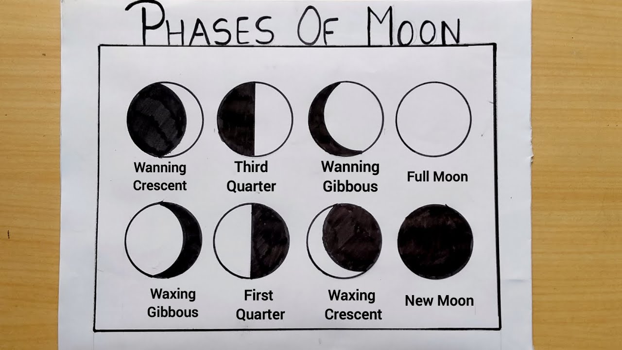 Top more than 145 phases of moon sketch super hot - in.eteachers