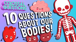 10 Questions About Our Bodies | COLOSSAL QUESTIONS