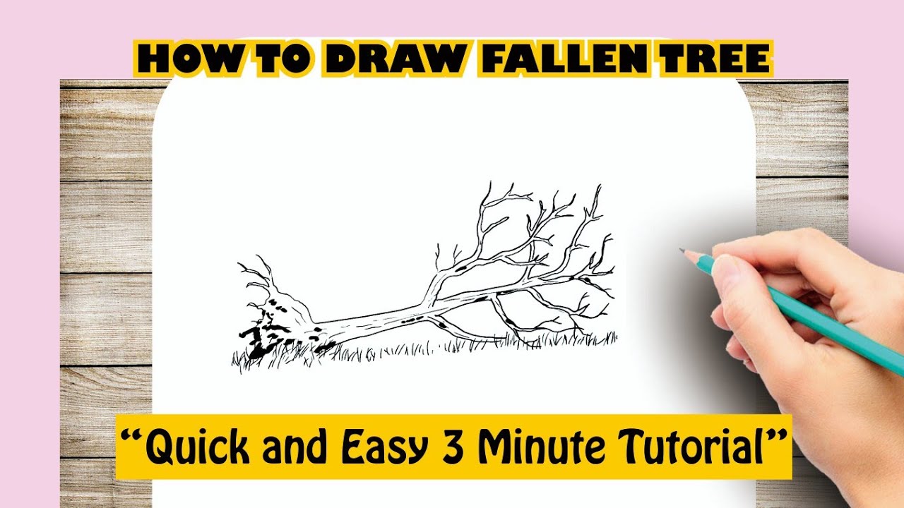 How to draw FALLEN TREE - YouTube