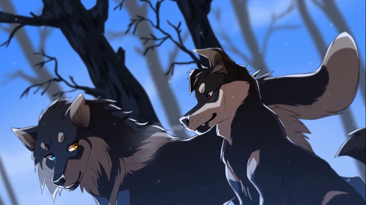 Anime Wolves - Stay The Night - YouTube