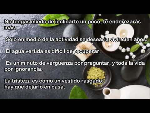 Video: Que Es Un Proverbio