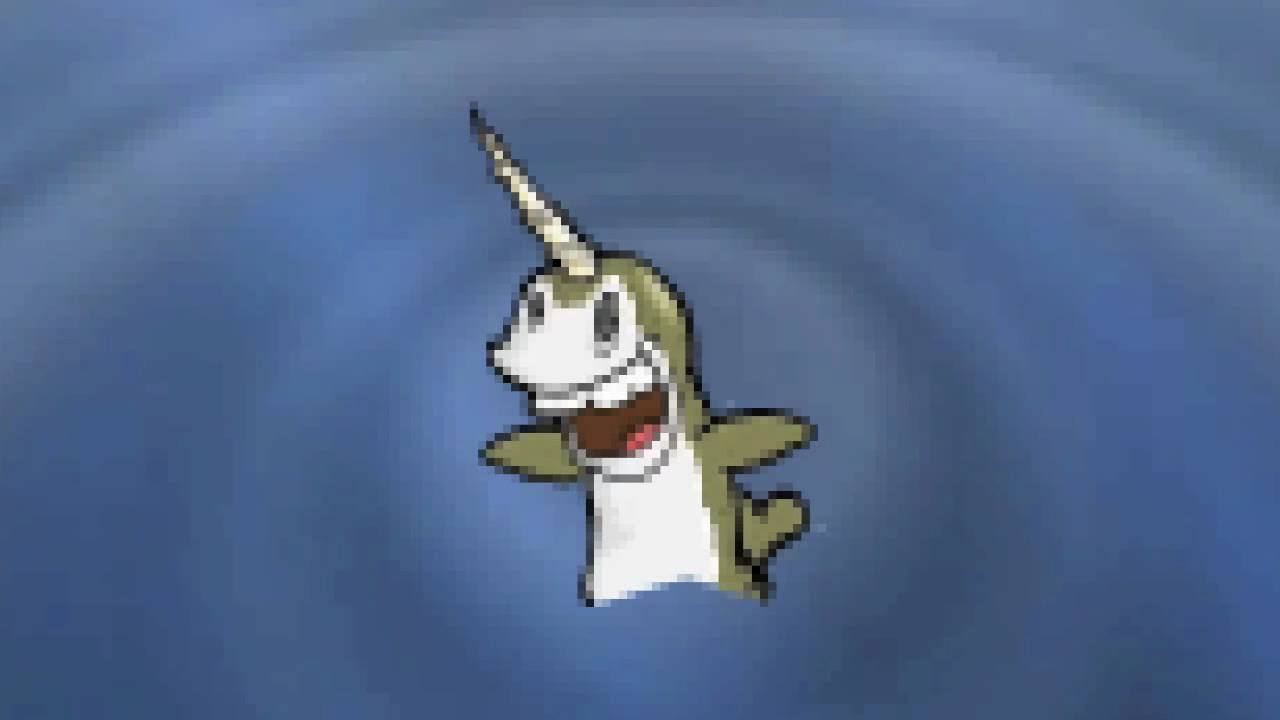 Narwhals Song Gif