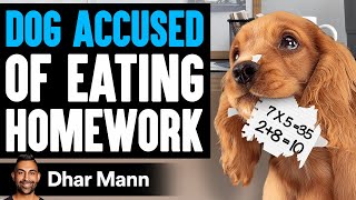 KID Says DOG ATE His HOMEWORK, He Lives To Regret It | Dhar Mann