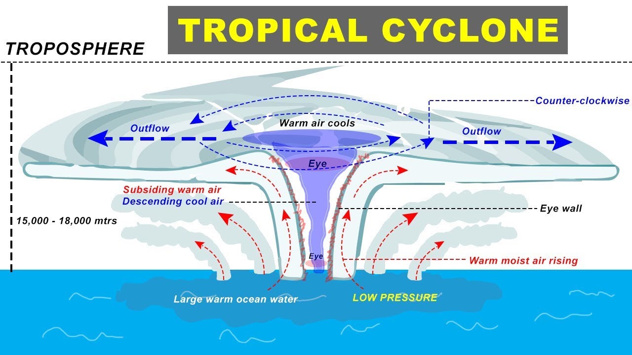 Draw A Labelled Diagram Of Cyclone In Both The Hemispheres ...