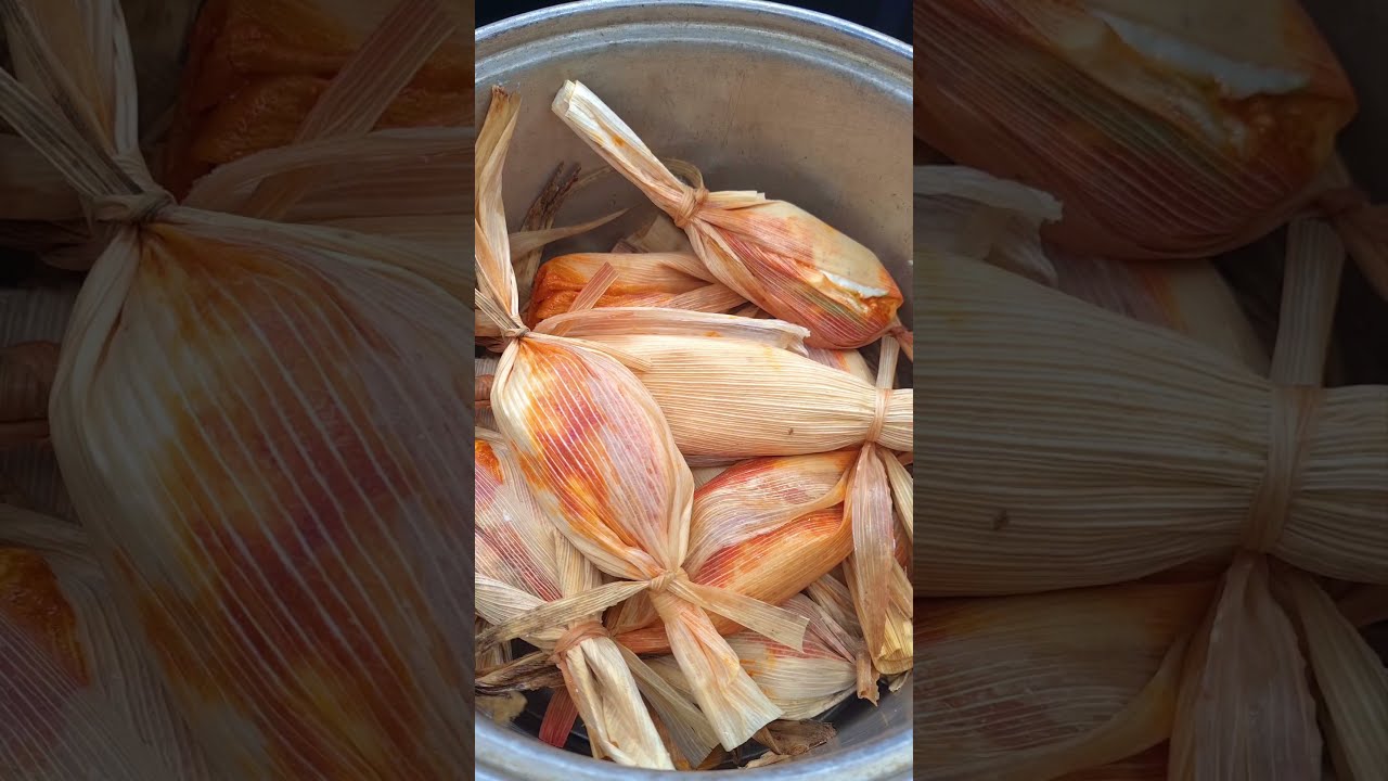 Tamales Chanchamitos Veracruzanos | Cocinero en proceso - YouTube