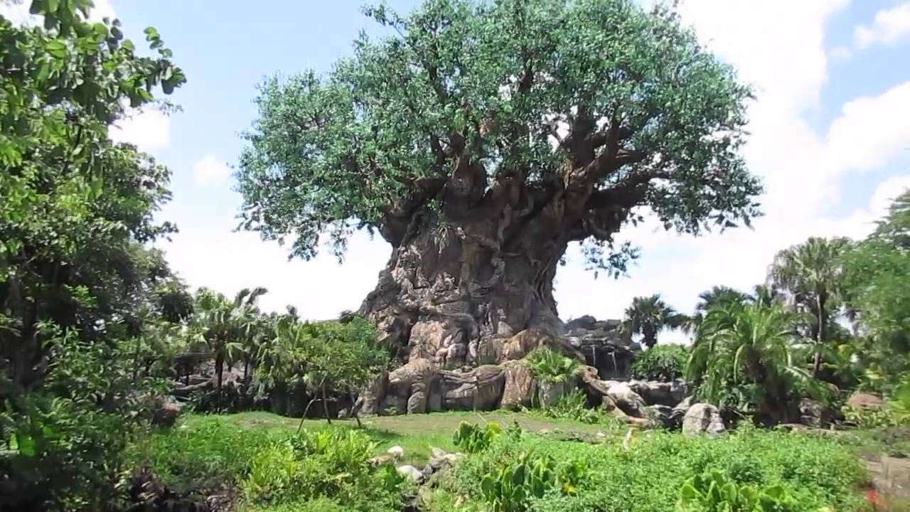 Download ANIMAL CARVINGS IN THE TREE OF LIFE AT DISNEY'S ANIMAL KINGDOM PARK - YouTube